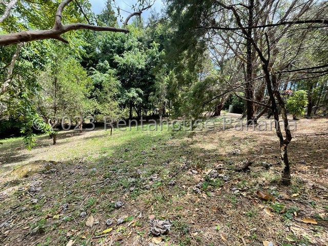 Beautiful Lot- Lote en Altos de María, Panamá